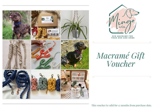 Mingo & Co gift card