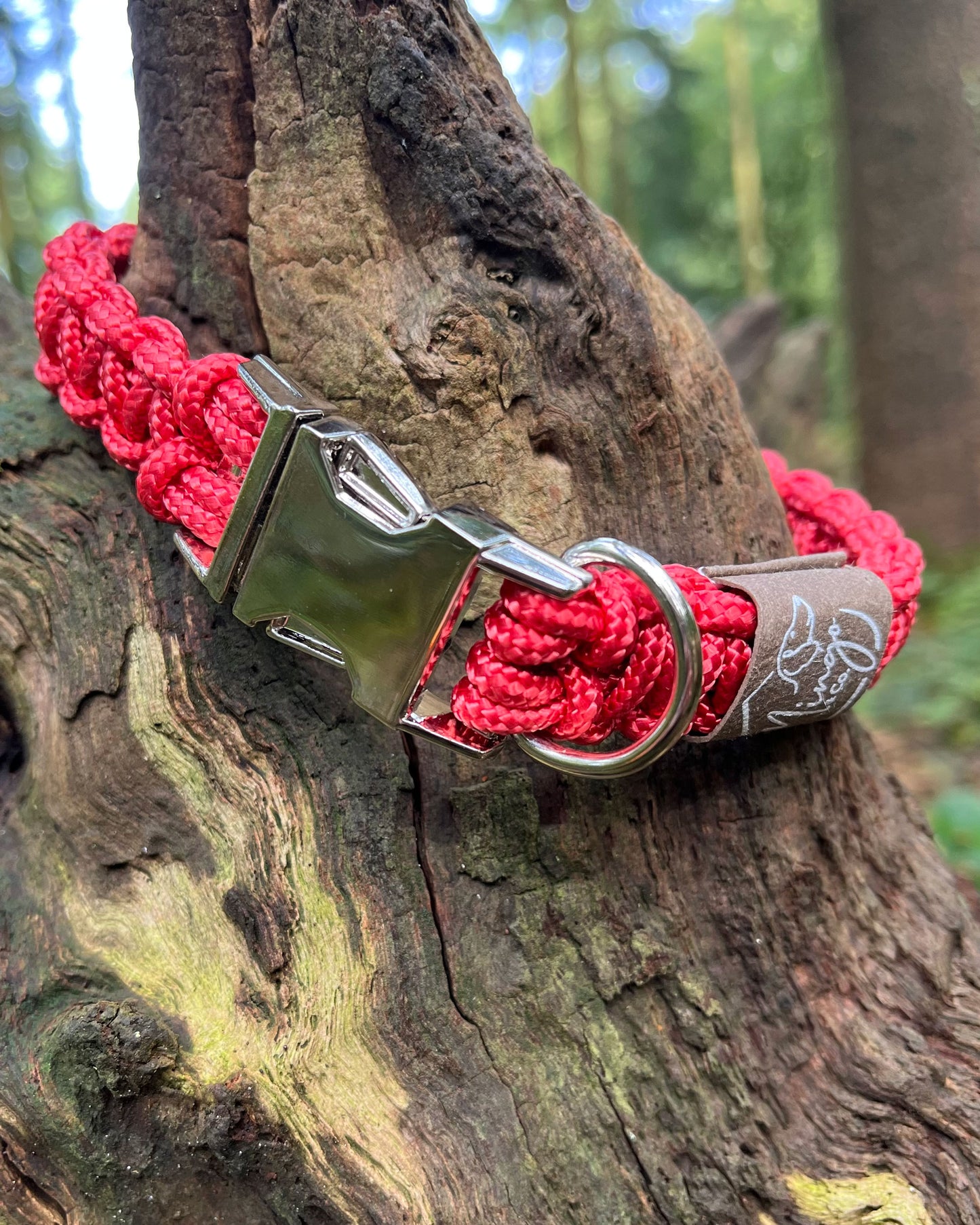 Dog Collar - Custom Fit