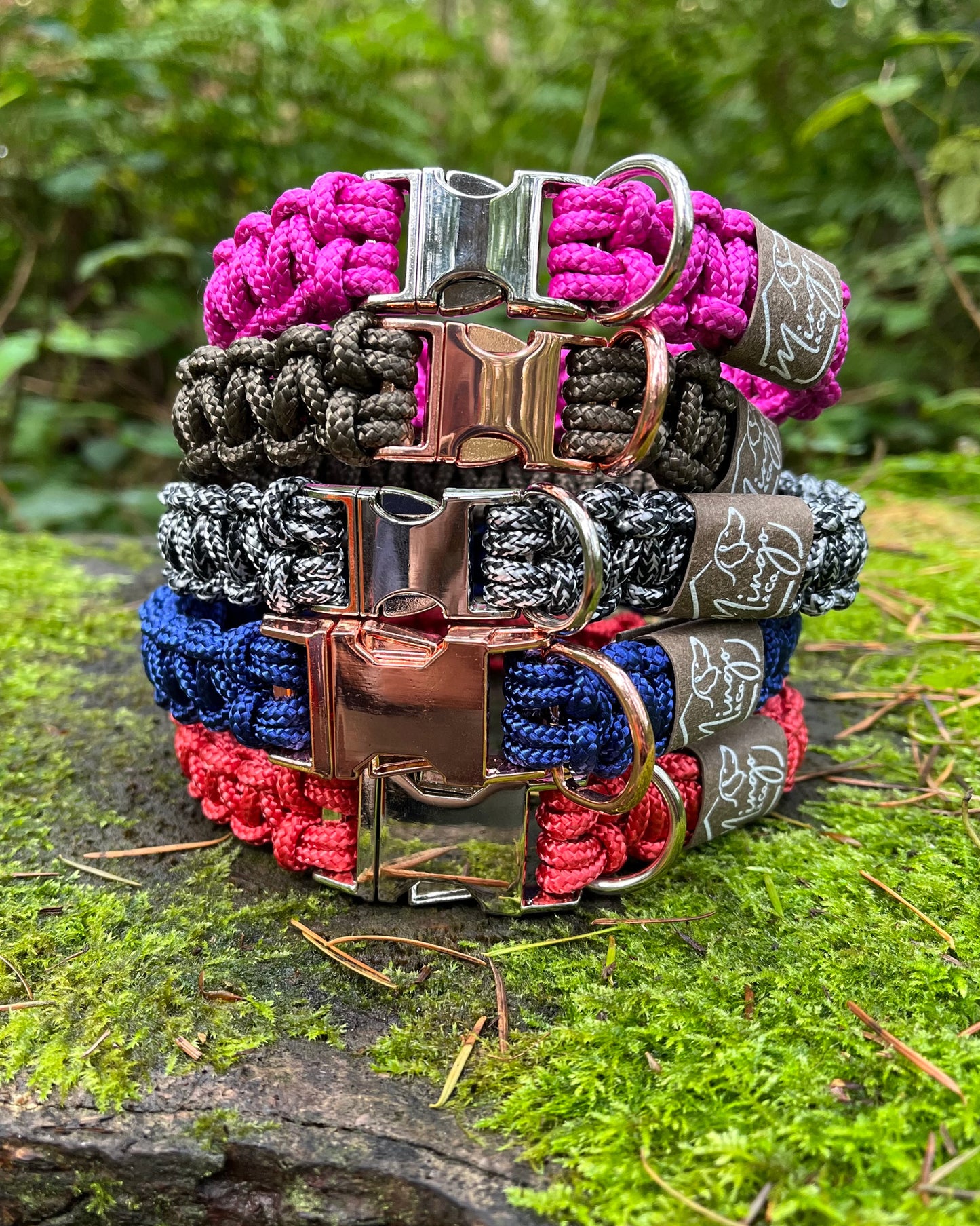 Dog Collar - Custom Fit