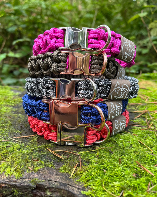 Dog Collar - Custom Fit