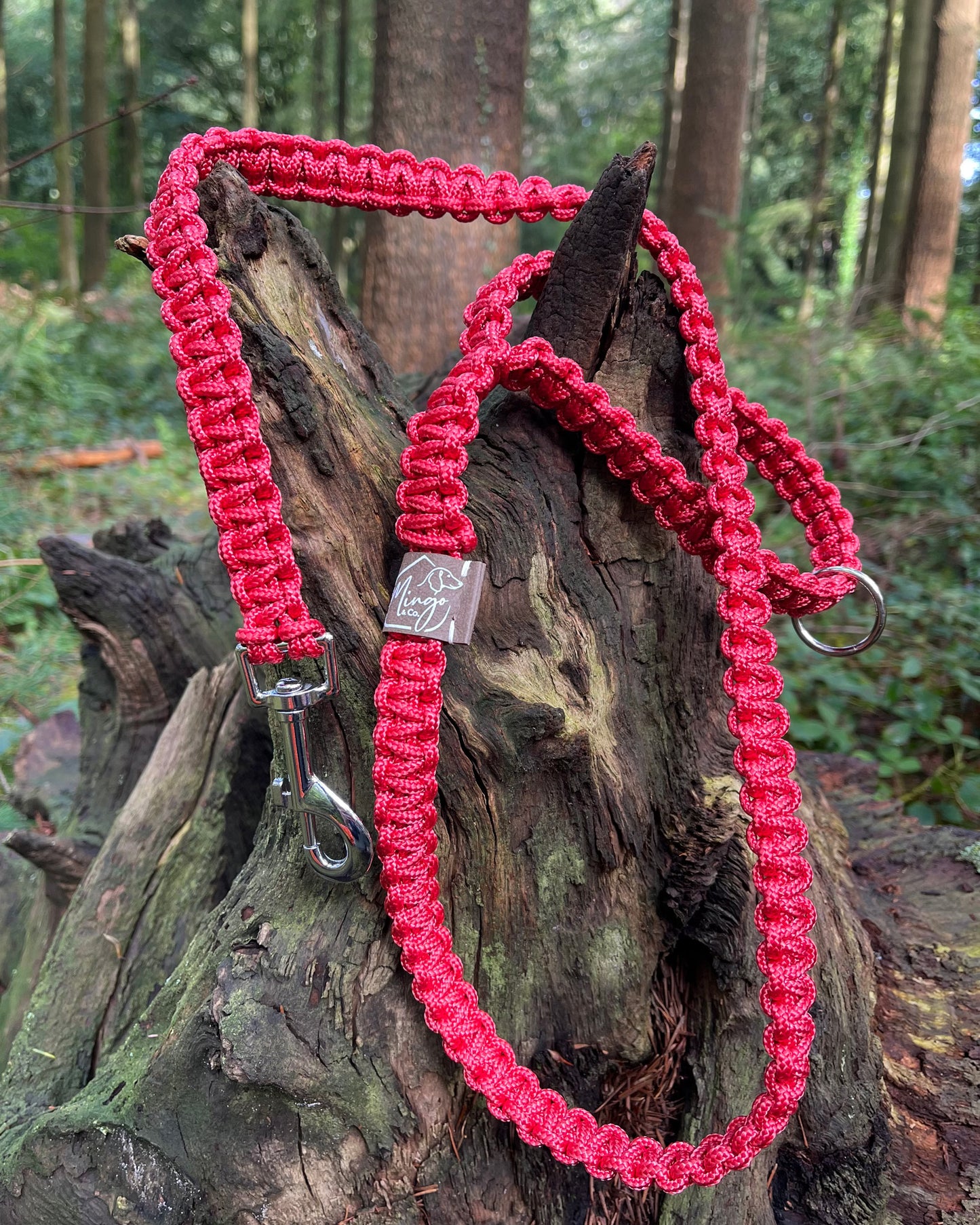 Dog Lead - Square Knot Design- Eco Friendly