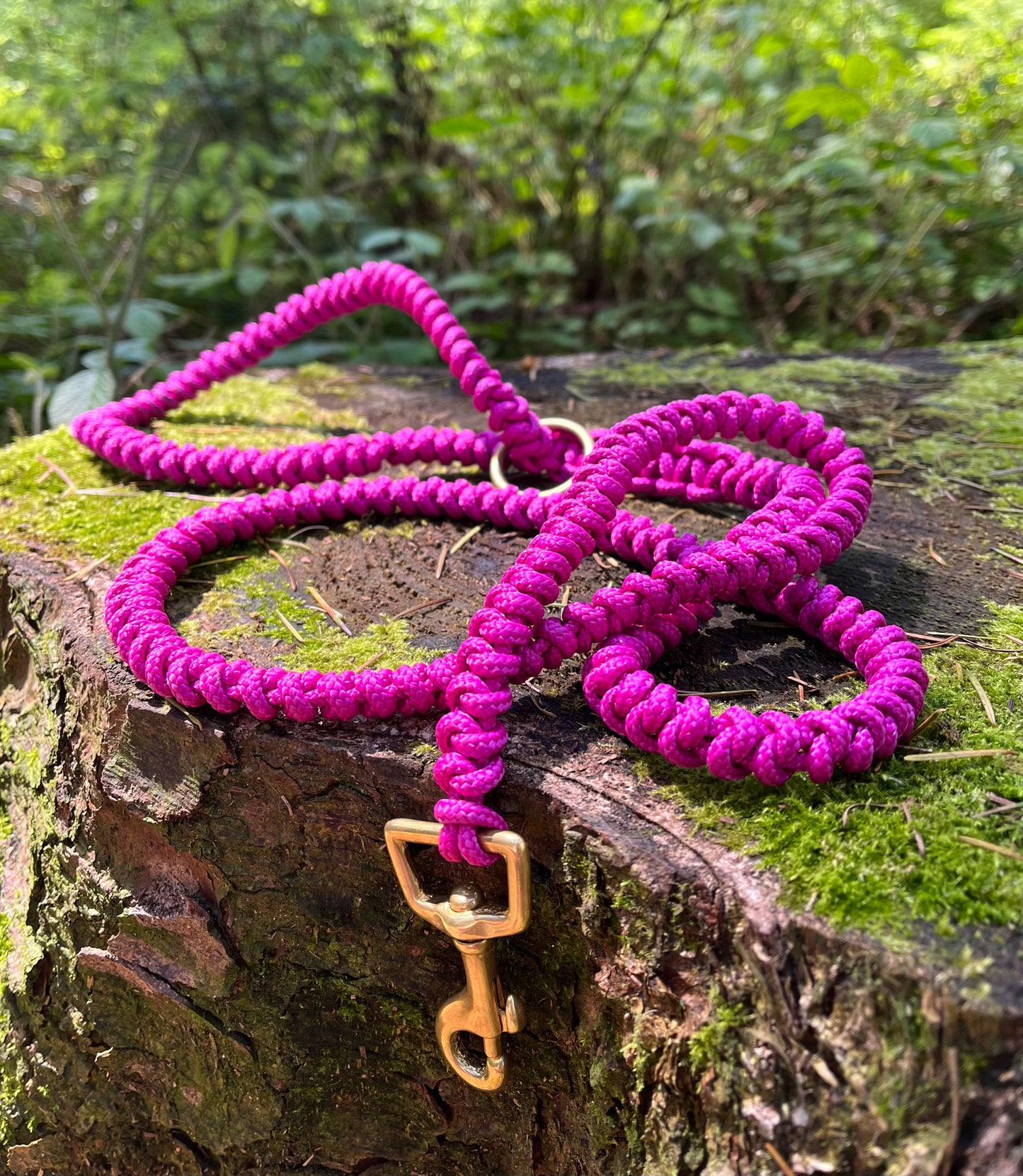 Dog Lead - Snake Knot Design - Eco Friendly