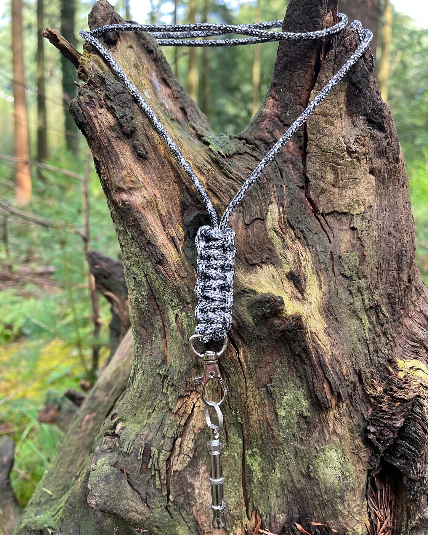 Dog whistle lanyard