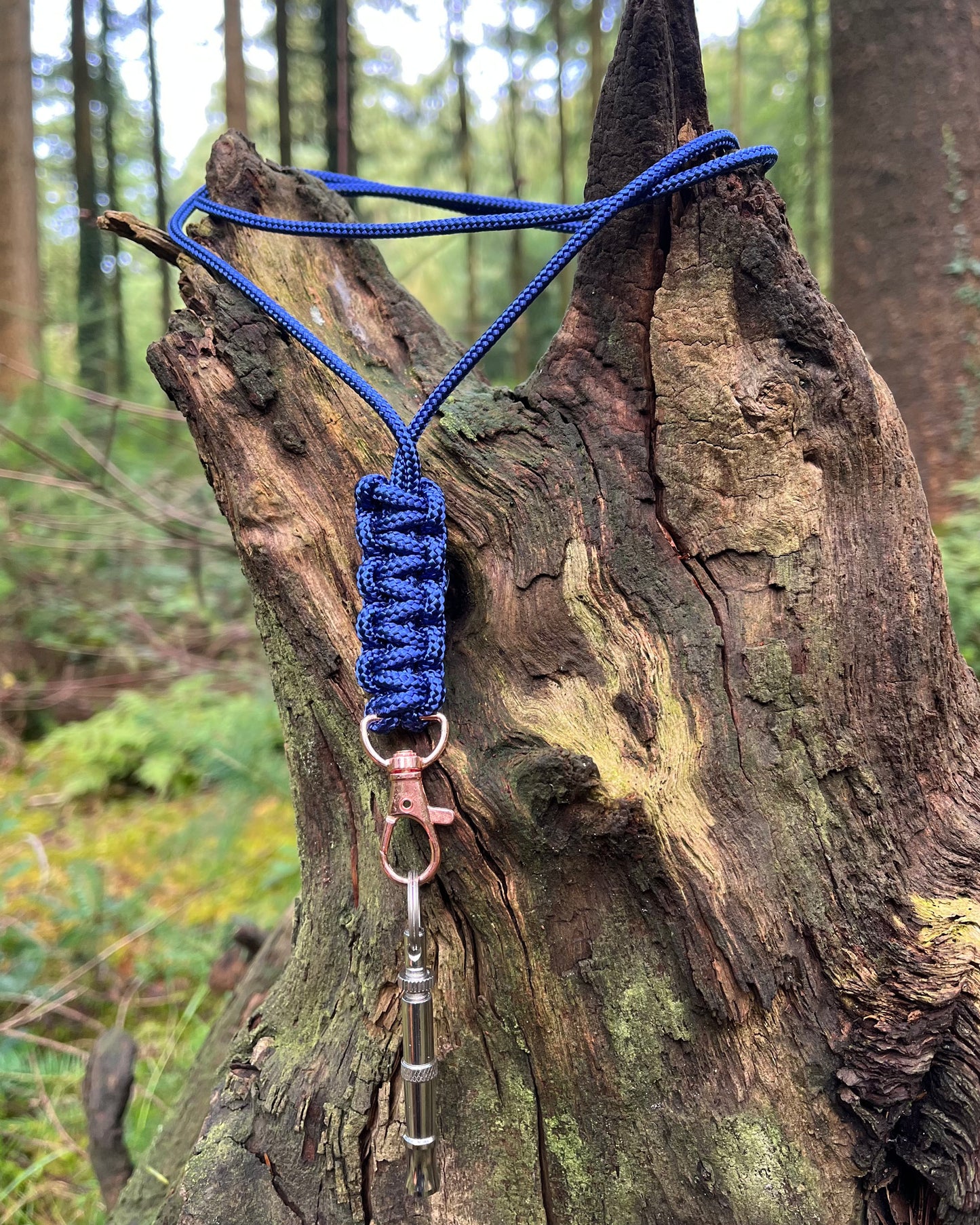 Dog whistle lanyard