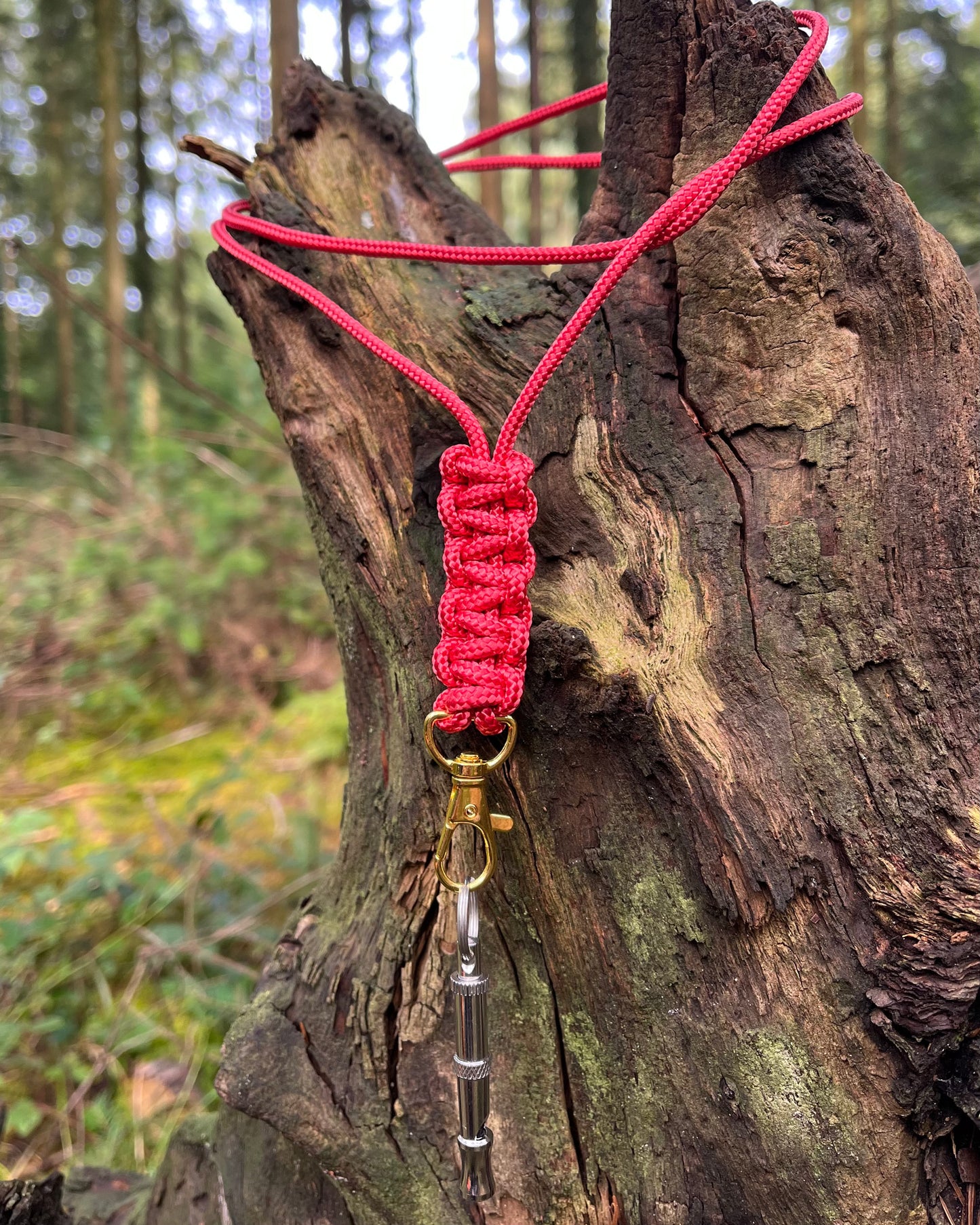 Dog whistle lanyard
