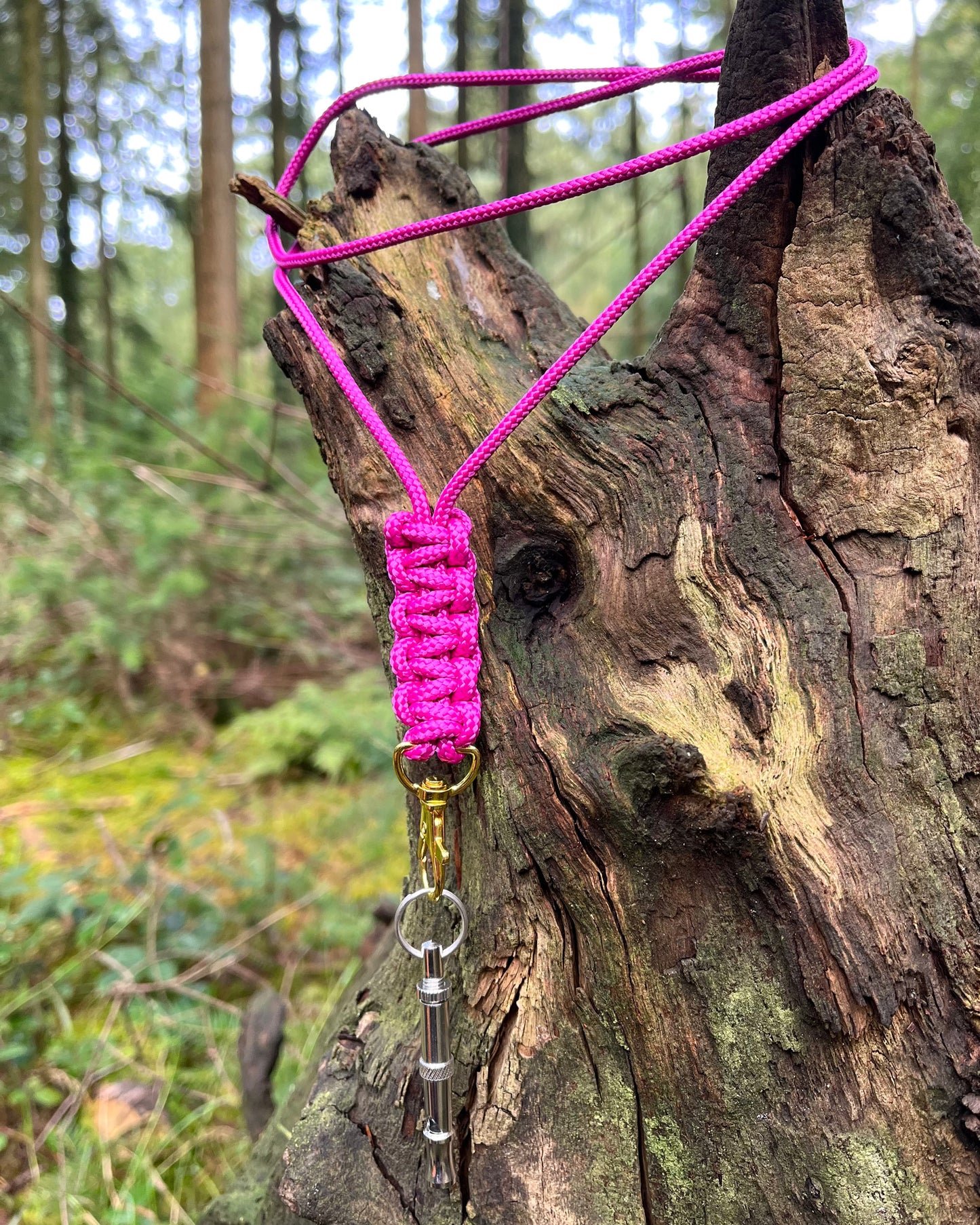 Dog whistle lanyard