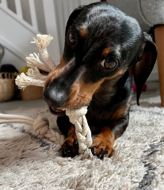 Hemp Dog Toy