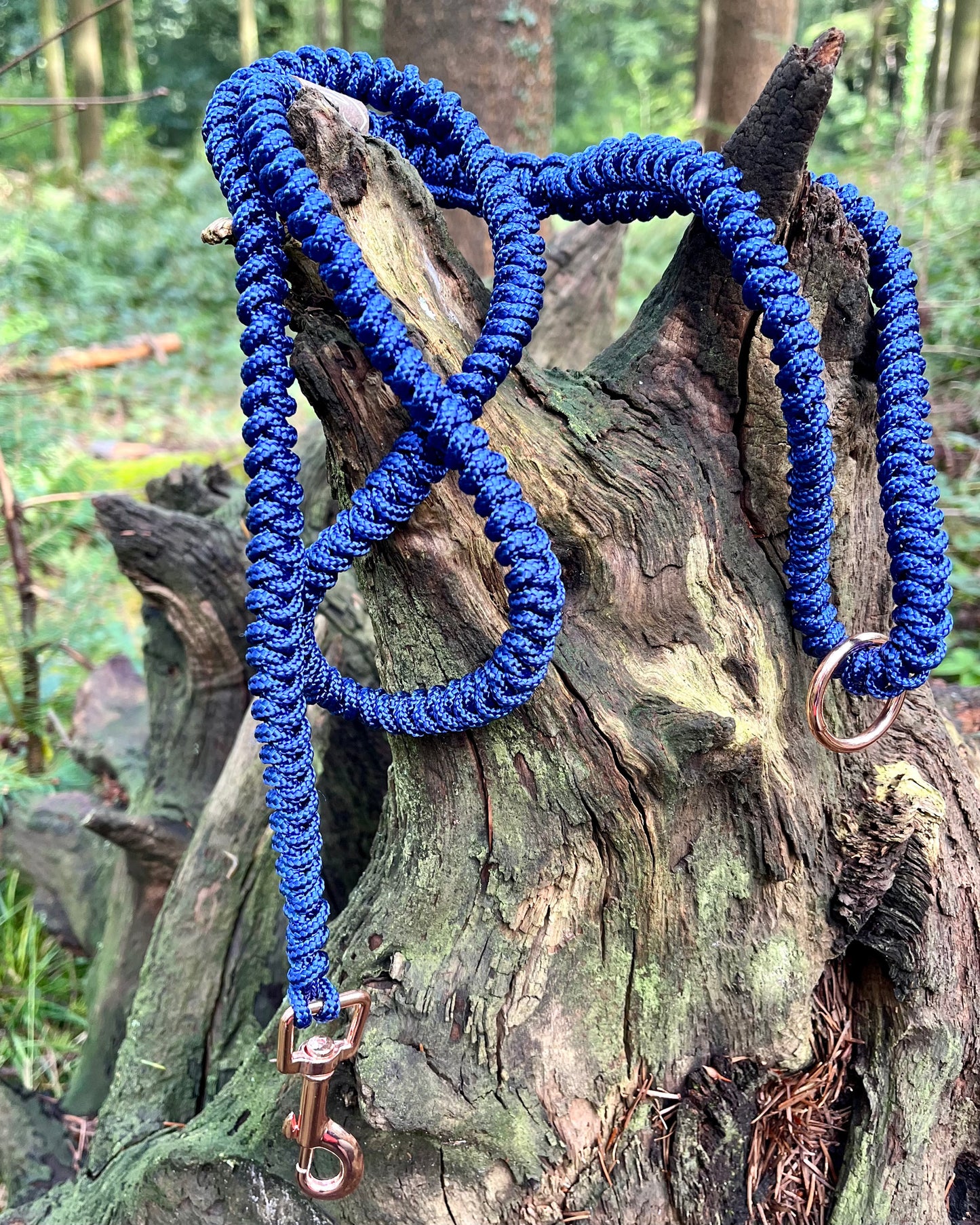 Dog Lead - Snake Knot Design - Eco Friendly