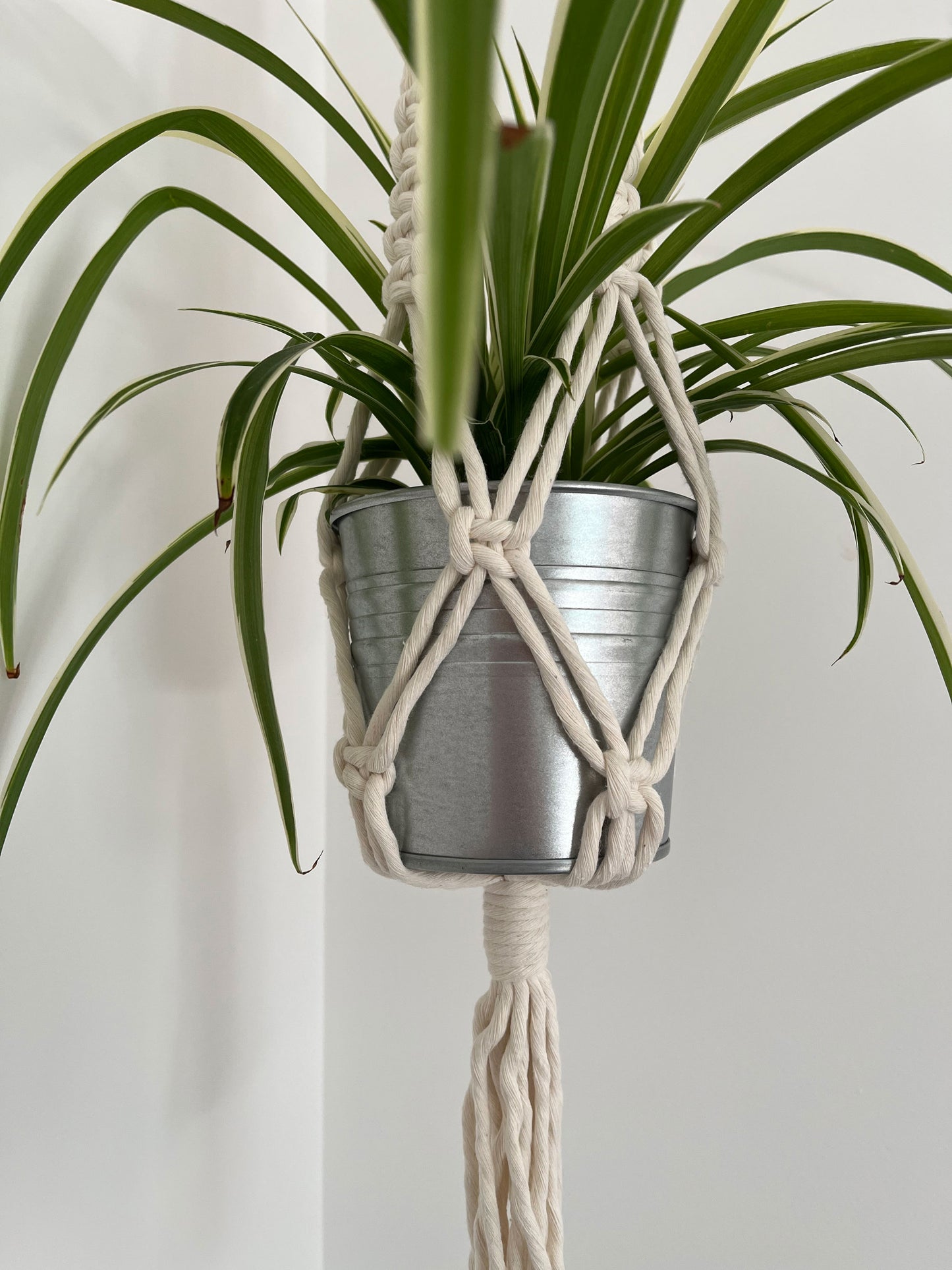 Hanging Planter - square knot design