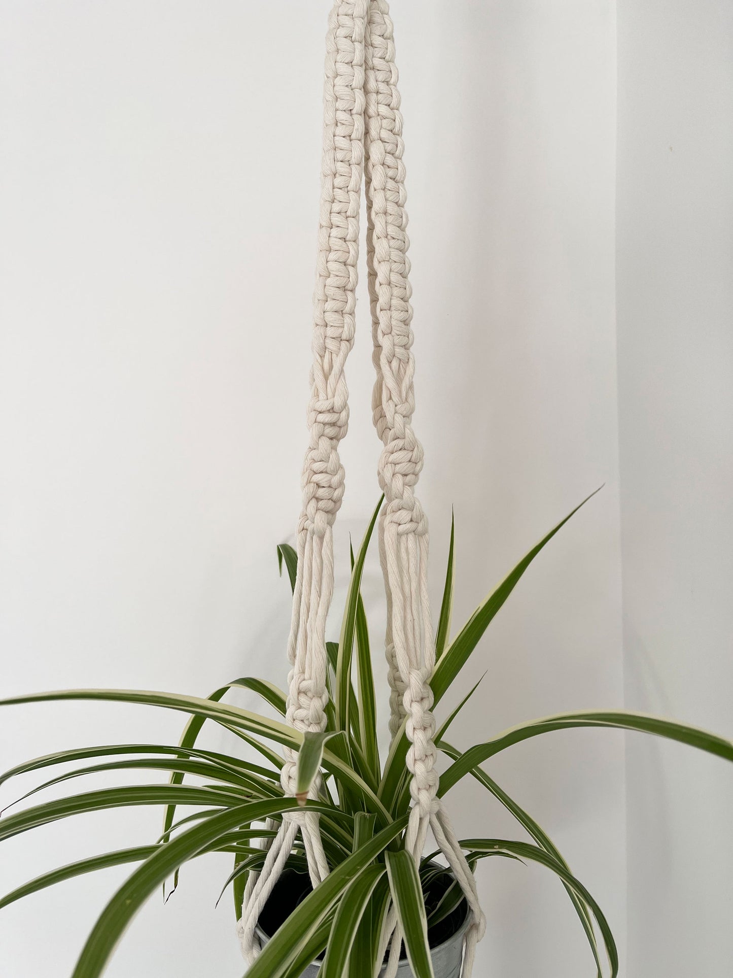 Hanging Planter - square knot design