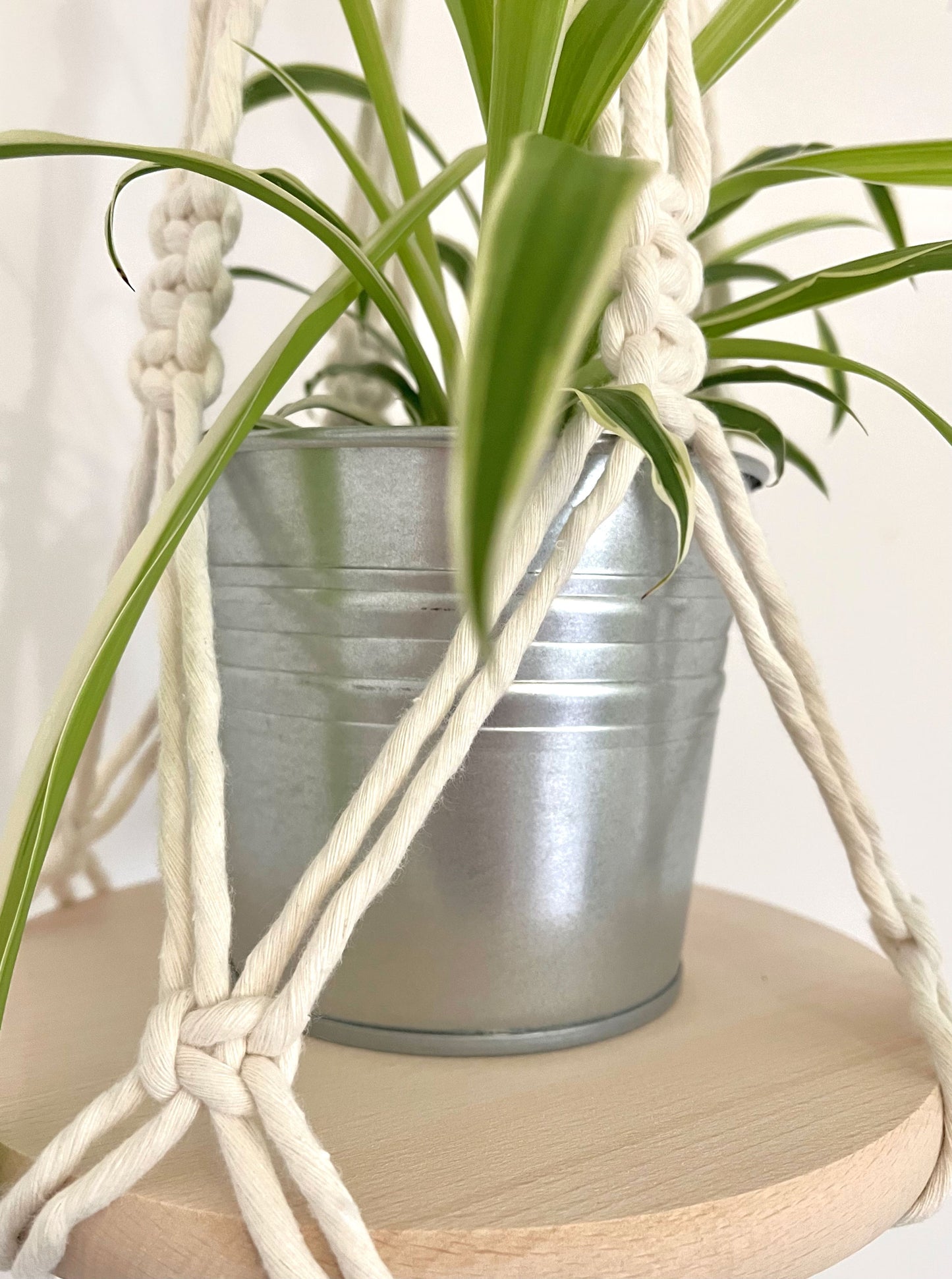 Hanging planter with wooden shelf