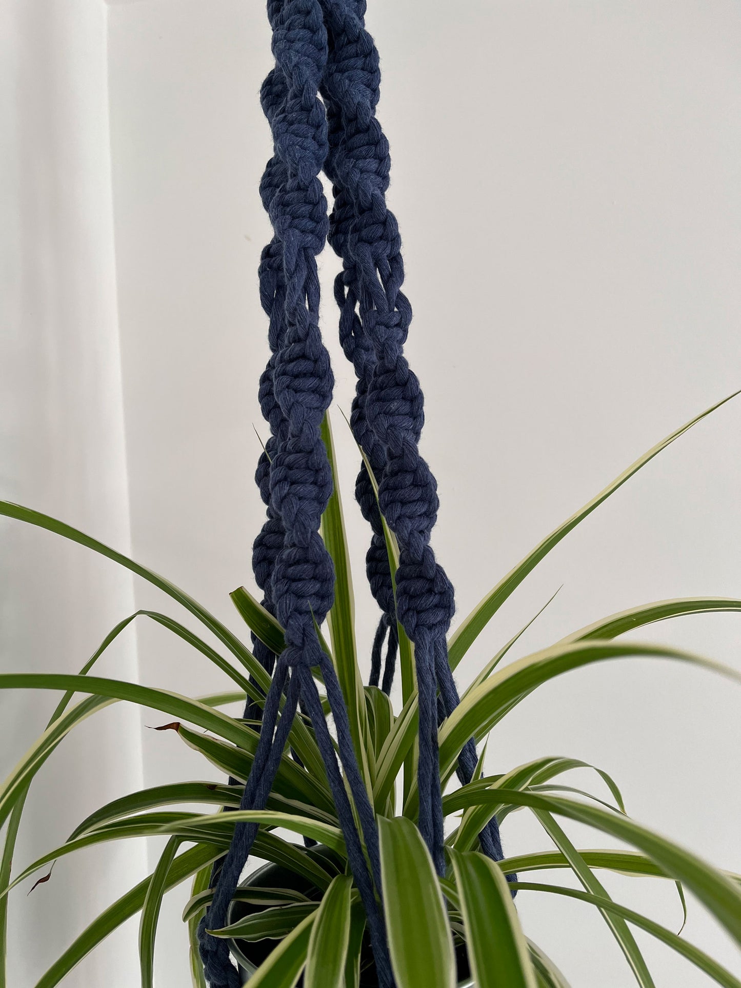 Hanging Planter - twist design