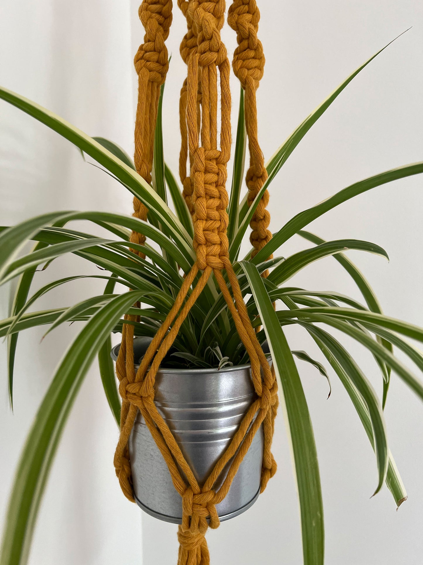 Hanging Planter - twist design